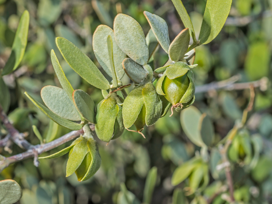 Sensitive Skin Isn’t a Type — It’s a Condition