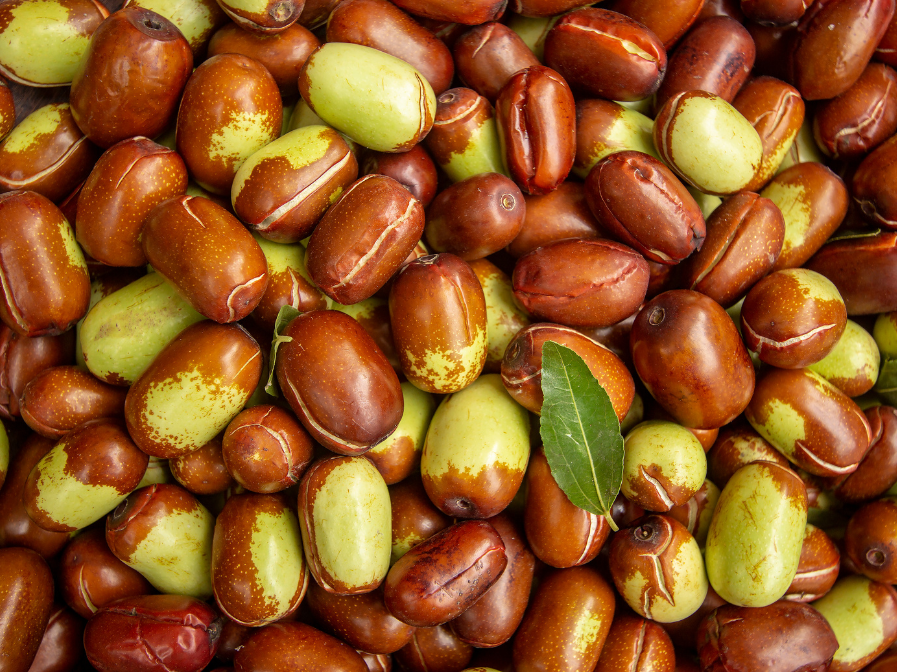 Skin Benefits of Plant-Based Ingredients