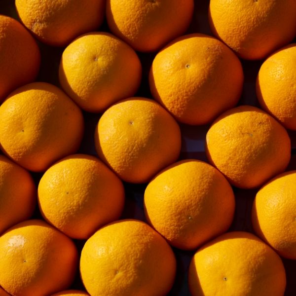 Feed Your Skin- Vitamin C: Powerhouse Antioxidant | C&Co.® Handcrafted Skincare